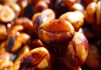 The Difference Between Honey Process and Natural Process: Why Are Honey Processed Coffee Beans So Popular? The Significance of Honey Processing