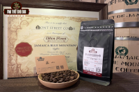 What is Blue Mountain Style Coffee: Authentic Blue Mountain Coffee Bean Brands, Grades, and Flavor Characteristics