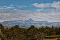 Where are Kenya's coffee growing regions located? What are the characteristics of the western coffee growing regions?