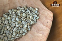 Is Geisha Delicious? Colombian Geisha Blend Coffee Beans—Taste Evaluation of Hanami Coffee Beans
