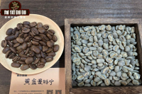 PWN Golden Mandheling vs. Indonesian Sumatra Mandheling Coffee Beans: Differences in Pour-Over Flavor and Taste