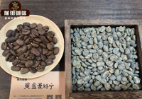 PWN Golden Mandheling vs. Indonesian Sumatra Mandheling Coffee Beans: Differences in Pour-Over Flavor and Taste