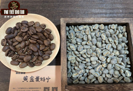 PWN Golden Mandheling vs. Indonesian Sumatra Mandheling Coffee Beans: Differences in Pour-Over Flavor and Taste