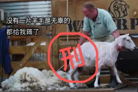 People's Court: Luckin Coffee Won't Face Criminal Charges for Bug Incident, but 