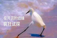 Everyone Wants to Open a Coffee Shop, But It's Not Easy for Anyone Who Does!