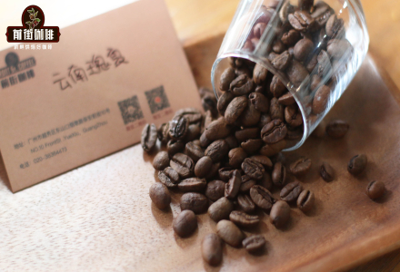 Introduction to Chinese Yunnan Estate Geisha Variety - How is Yunnan Geisha Coffee Bean Quality and Grade?