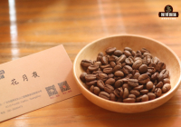 FrontStreet Coffee's Brewing Guide and Flavor Profile: Colombian Cattleya Moonlight Night Coffee Beans