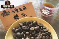 The Origin and Historical Story of Colombian Castillo Coffee Beans and What Hybrid Varieties They Are