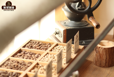 Grade of Ethiopian Sidamo G1 Coffee Beans