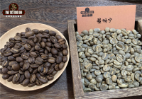Sumatra Mandheling Coffee Bean Varieties Introduction: Pour-Over Brewing Parameters and Flavor Profile