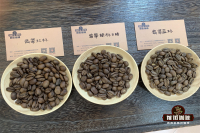 Panama Geisha Coffee Bean Grading System: What Do Red, Green, and Blue Label Geishas Mean?