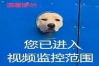 Brewing Coffee in Zisha Pots: A Surprising Solution to Reduce Bitterness