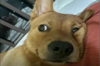 Can't Extract to Target Liquid Weight? Should You Press the Extraction Button Again? Is Double-Extracted Espresso Good to Drink?