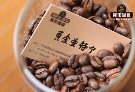 What are the Characteristics of Sumatran Coffee: Origins and Story Behind the Name
