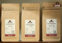 Colombian Coffee Bean Grading System and Flavor Profile Characteristics