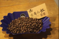 Which Yunnan Coffee Bean is the Best and What Variety Does it Belong to? Characteristics and Flavor Evaluation of Yunnan Coffee Beans vs. Vietnamese Coffee Beans