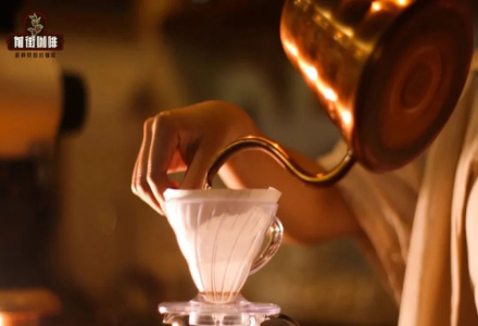 How to Determine if Filter Paper is Aligned with the Dripper? Why Should Filter Paper Be Wet with Water to Adhere Closely When Brewing Coffee?