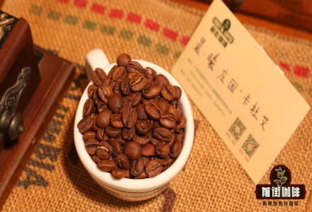 What are the steps of Costa Rica Red Honey Processing? What are the main coffee varieties grown at Dawn Manor?