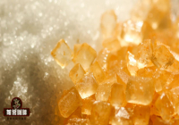Coffee Companion: Types and Usage of Sugar