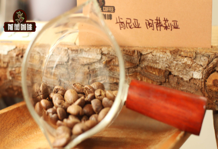 What's the Difference Between AA and AA TOP in Kenyan Coffee? Introduction to Thika Region's Asalia K72 Washed Coffee