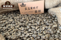 Characteristics and Story of Mandheling Wet-Hulled Process Coffee Beans from Sumatra, Indonesia
