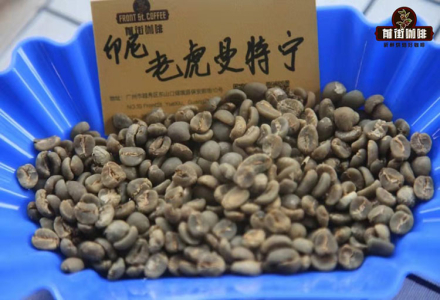 The Origin Story of Sumatra Tiger Mandheling Coffee Beans: Wet-Hulled Processing Method and Pour-Over Parameters Introduction