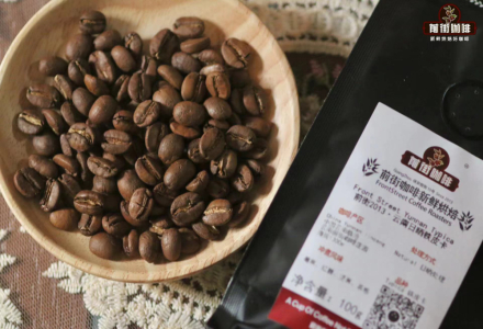 What Are the Best Coffee Brands from Yunnan Origin - A Guide to Yunnan Small Bean Coffee Grades and Flavor Profiles