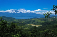 Characteristics and Flavor Profile of Honduras Shigua SHB Specialty Coffee Beans - Honduras Coffee Bean Story