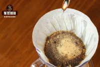 Introduction to the History and Current Development of Arabica Coffee, Yunnan Small Bean Black Coffee Brewing Methods