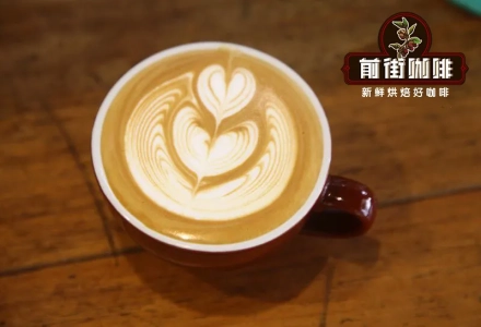How Should Coffee Beginners and Enthusiasts Learn Coffee Knowledge and Where to Start