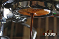 What Does SOE Stand For in Coffee? What Are the Key Differences Between Single Origin SOE Coffee Beans and Espresso Blends?