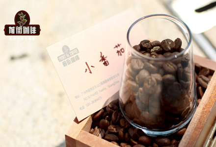 Kenyan Coffee Bean Grading System: What's the Difference Between Kenya AA TOP and Kenya AA Coffee Beans
