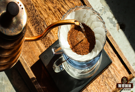 Which Coffee Filter Paper Brand is Best? Features of Non-Woven Filter Paper & Choosing the Right Filter for Pour-Over Coffee