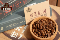 The Story of Panama Duncan Estate: Premium Natural Caturra Coffee Beans from Boquete