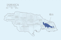 Introduction to Four Major Estates of Jamaica Blue Mountain Coffee - Features of Clifton Estate Blue Mountain No. 1 Coffee Beans