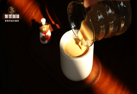 Can Coffee Be Extracted with Warm Milk? How to Make Milk-Extracted Coffee Taste Better?