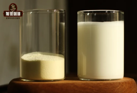 What Makes the Perfect Milk for Lattes? What's the Difference Between Purified Milk Bock and Regular Fresh Milk? Can Milk Powder Be Used for Lattes?