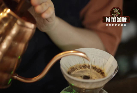 Colombian Coffee Beans | Anaerobic Natural Process Coffee Bean Flavor Profile | Is the Colombian Huila Finca El Diviso Night Bloom Coffee Bean Worth Trying?