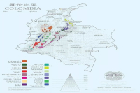 Introduction to Colombian Coffee: Regions and Grading System