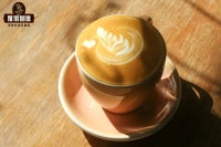 Why doesn't matcha latte contain coffee? What does 