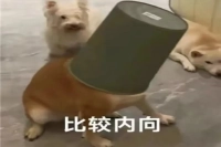 How to Distinguish Under-Extraction and Over-Extraction in Coffee? What Are the Signs of Over-Extracted Coffee? Why Does Coffee Lack Aftertaste?