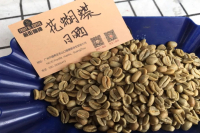 What Does Panama Geisha Coffee Taste Like, What Variety Is It, and Evaluation of Mariposa Coffee Bean Blend with Geisha Characteristics