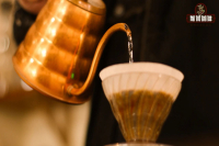 Costa Rican Coffee Brewing Tutorial: Extraction and Flavor Profile of Costa Rican Mozart Coffee