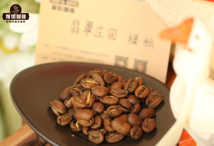 Panama La Esmeralda Green Label Geisha Coffee Beans: Flavor Profile, Taste Characteristics, and Grade Introduction