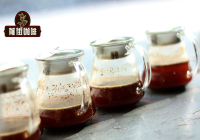 The Tale of Flower Queen from Ethiopia's Guji Hambella | Cold Brew Flavor Characteristics of Flower Queen Coffee Beans
