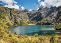 What are the Characteristics of Papua New Guinea Coffee and its Renowned Estates