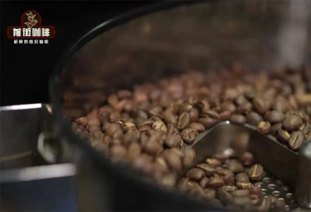 What's the Difference Between the Maillard Color Palette and the Maillard Reaction in Coffee Roasting? What About Caramelization?