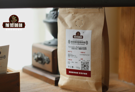 Guatemala Coffee Industry Guatemala Coffee Beans Guatemala Coffee Recommendations