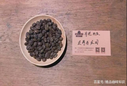 Colombian Wine Fermented Coffee Beans | Rum Barrel Fermentation Process Flavor Review | San Jose Coffee Bean Introduction