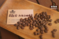 Distinguishing Geisha Red Label, Green Label, and Blue Label - Introduction to Hacienda La Esmeralda Geisha Coffee